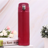 500ml Stainless Steel Flask
