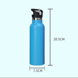 600ml Stainless Steel Bottle