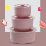3pcs Wheat Lunch Box