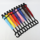 Reversible Umbrella