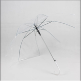Transparent Umbrella