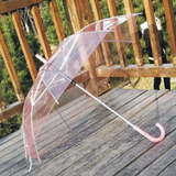 Transparent Umbrella