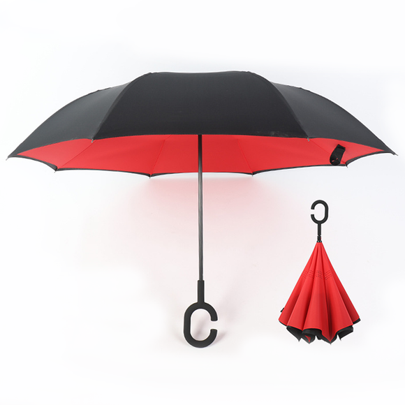 Reversible Umbrella