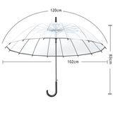 23” Transparent Umbrella with Black Trimming